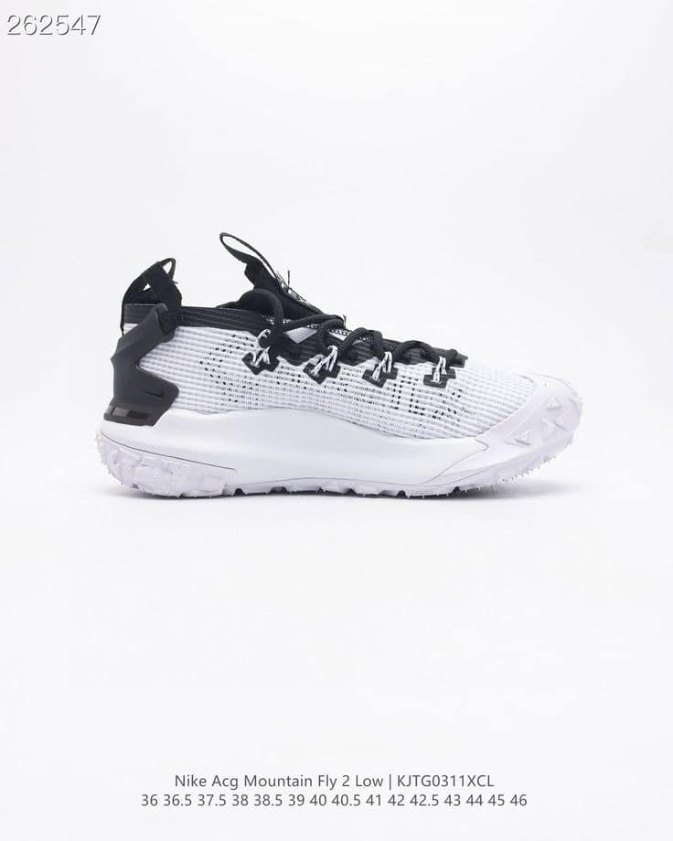 NIKE ACG MOUNTIAN FLY 2 LOW