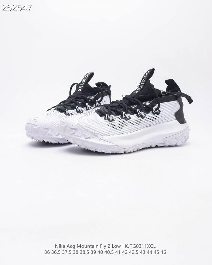 NIKE ACG MOUNTIAN FLY 2 LOW